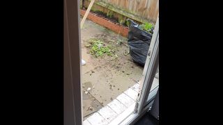 Step son dick stick into step mom ass fucking her in the back garden 